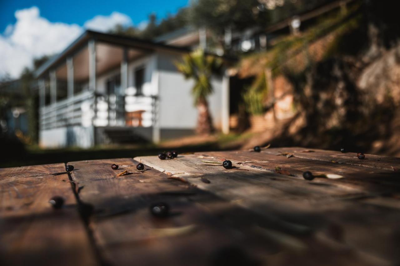 Agriturismo Rose Di Pietra Pietra Ligure Exteriér fotografie