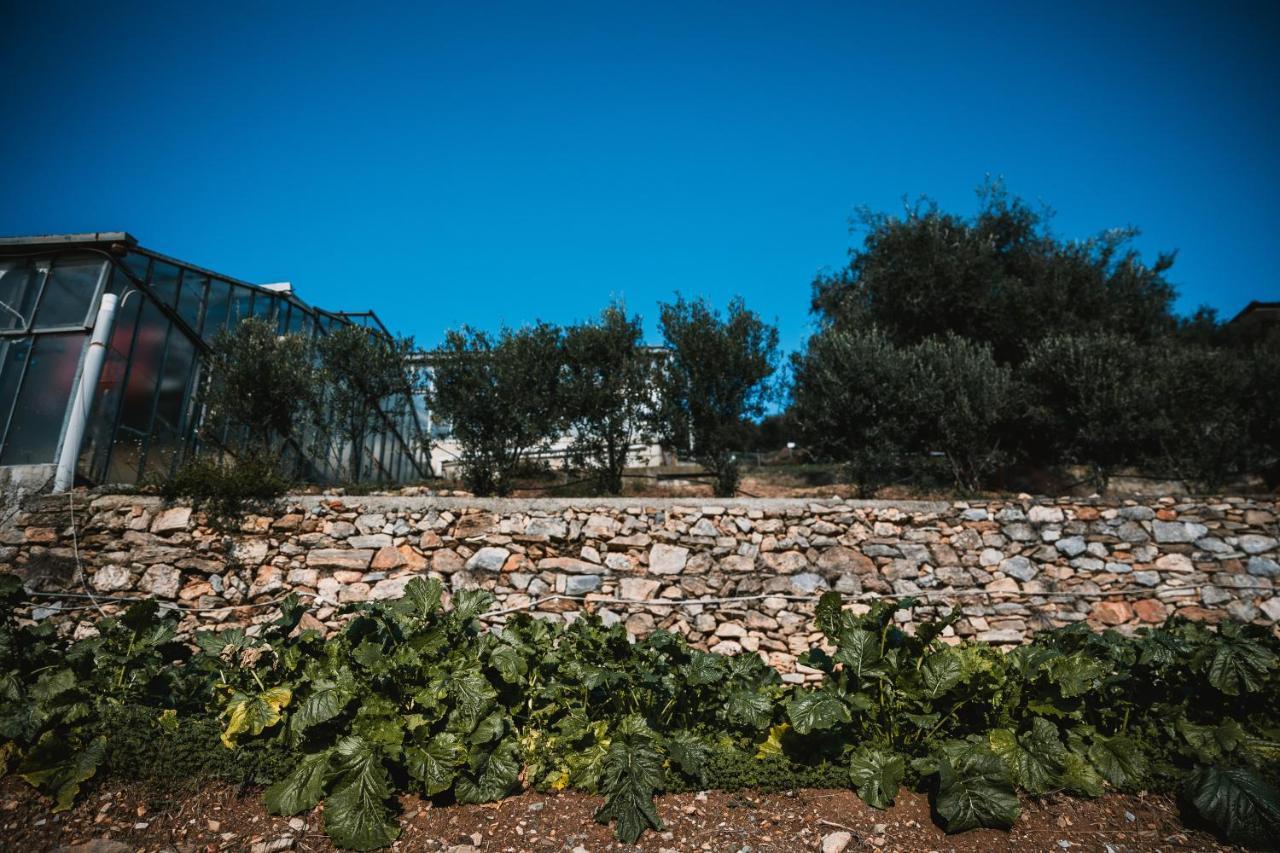 Agriturismo Rose Di Pietra Pietra Ligure Exteriér fotografie