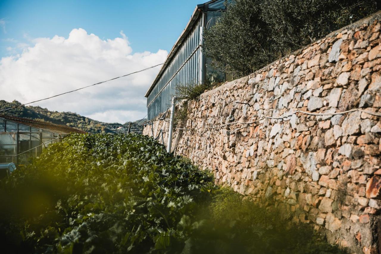 Agriturismo Rose Di Pietra Pietra Ligure Exteriér fotografie